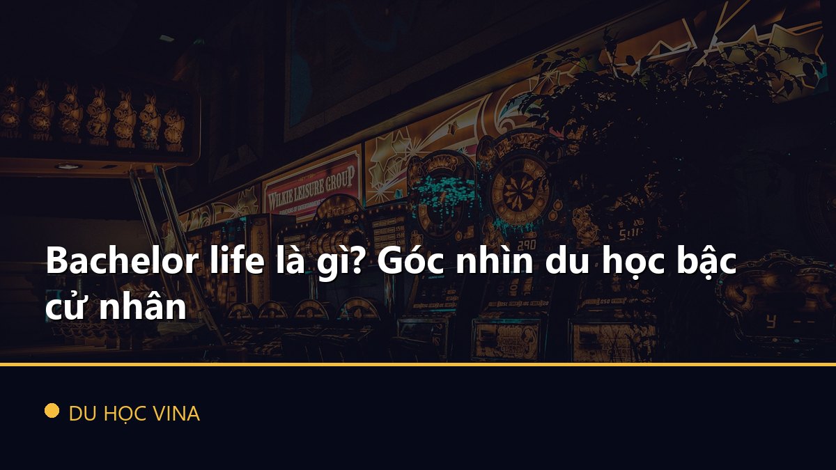 Bachelor life là gì? Góc nhìn du học bậc cử nhân