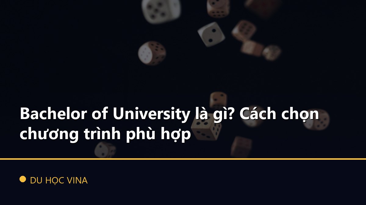 Bachelor of University là gì? Cách chọn chương trình phù hợp
