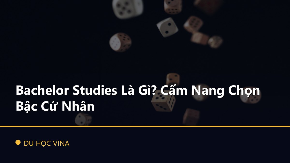 Bachelor Studies Là Gì? Cẩm Nang Chọn Bậc Cử Nhân