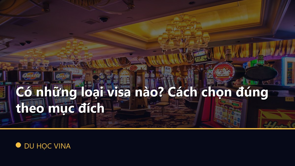 Có những loại visa nào? Cách chọn đúng theo mục đích