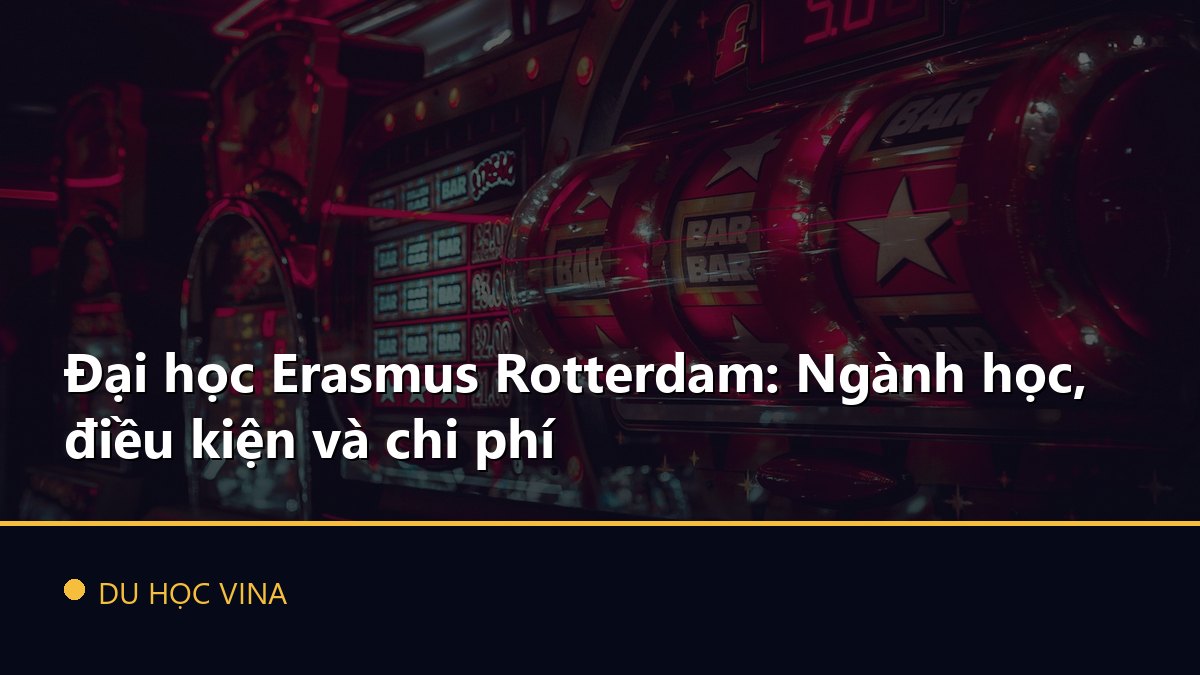 Đại học Erasmus Rotterdam: Ngành học, điều kiện và chi phí
