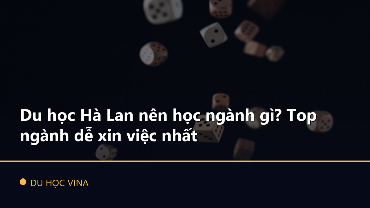 Du học Hà Lan nên học ngành gì? Top ngành dễ xin việc nhất