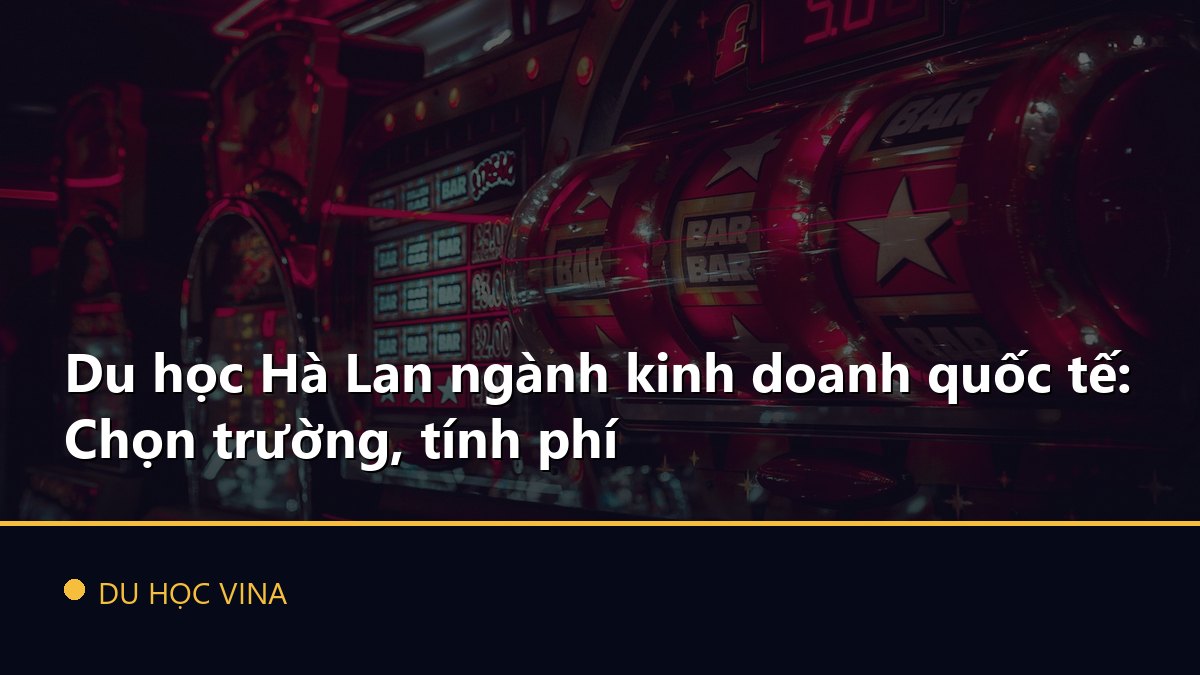 Du học Hà Lan ngành kinh doanh quốc tế: Chọn trường, tính phí