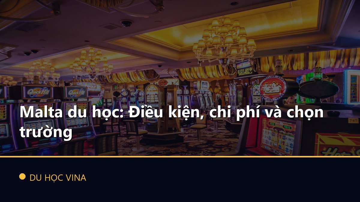 Malta du học: Điều kiện, chi phí và chọn trường