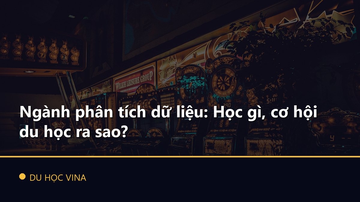 Ngành phân tích dữ liệu: Học gì, cơ hội du học ra sao?